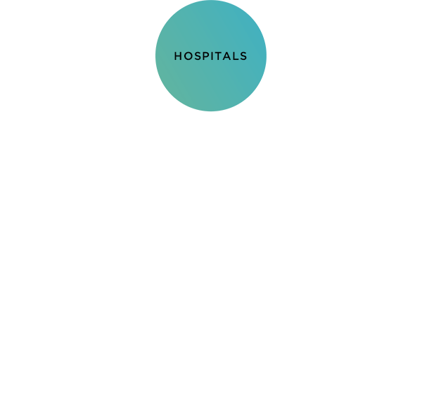 Diagram node for Hospital Sector